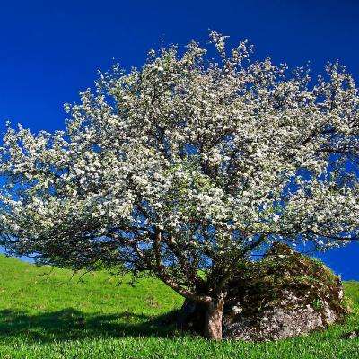 博鱼·体育中国入口